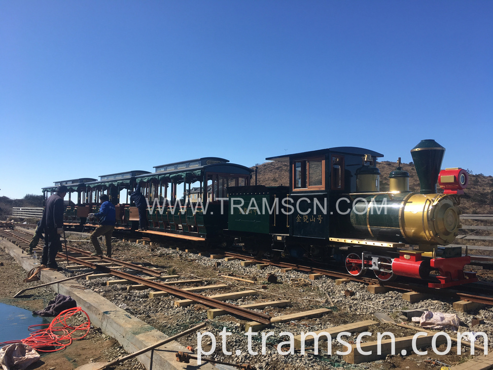 sightseeing train on mountain